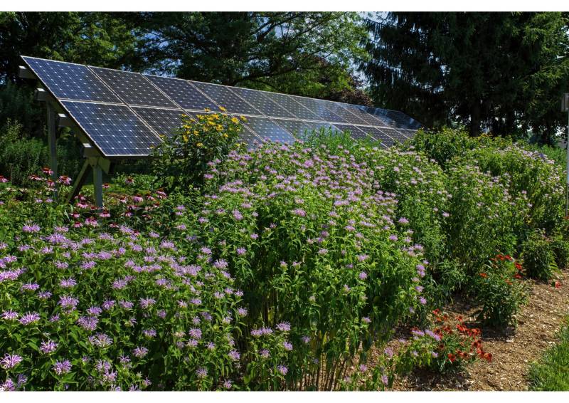 Installation de panneaux solaires dans un jardin à Nimes
