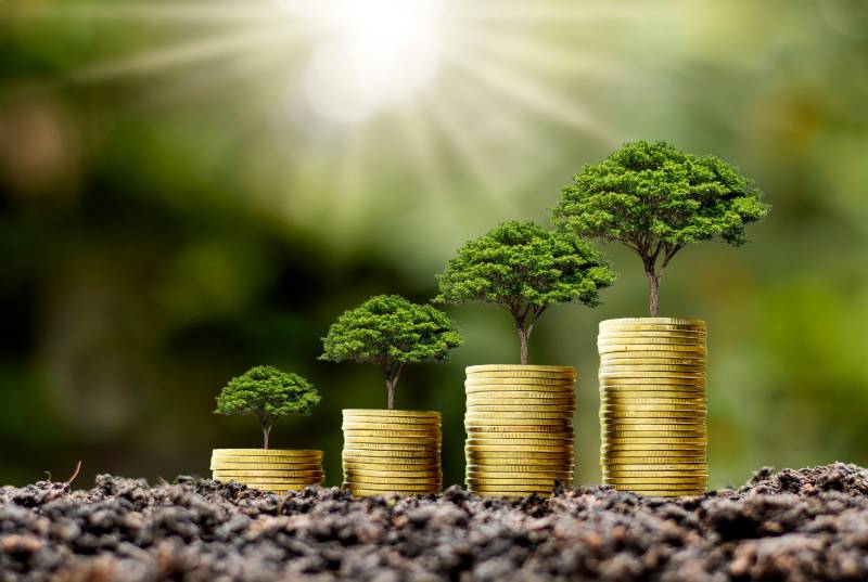 Les aides gouvernementales pour l'installation de panneaux solaires en France